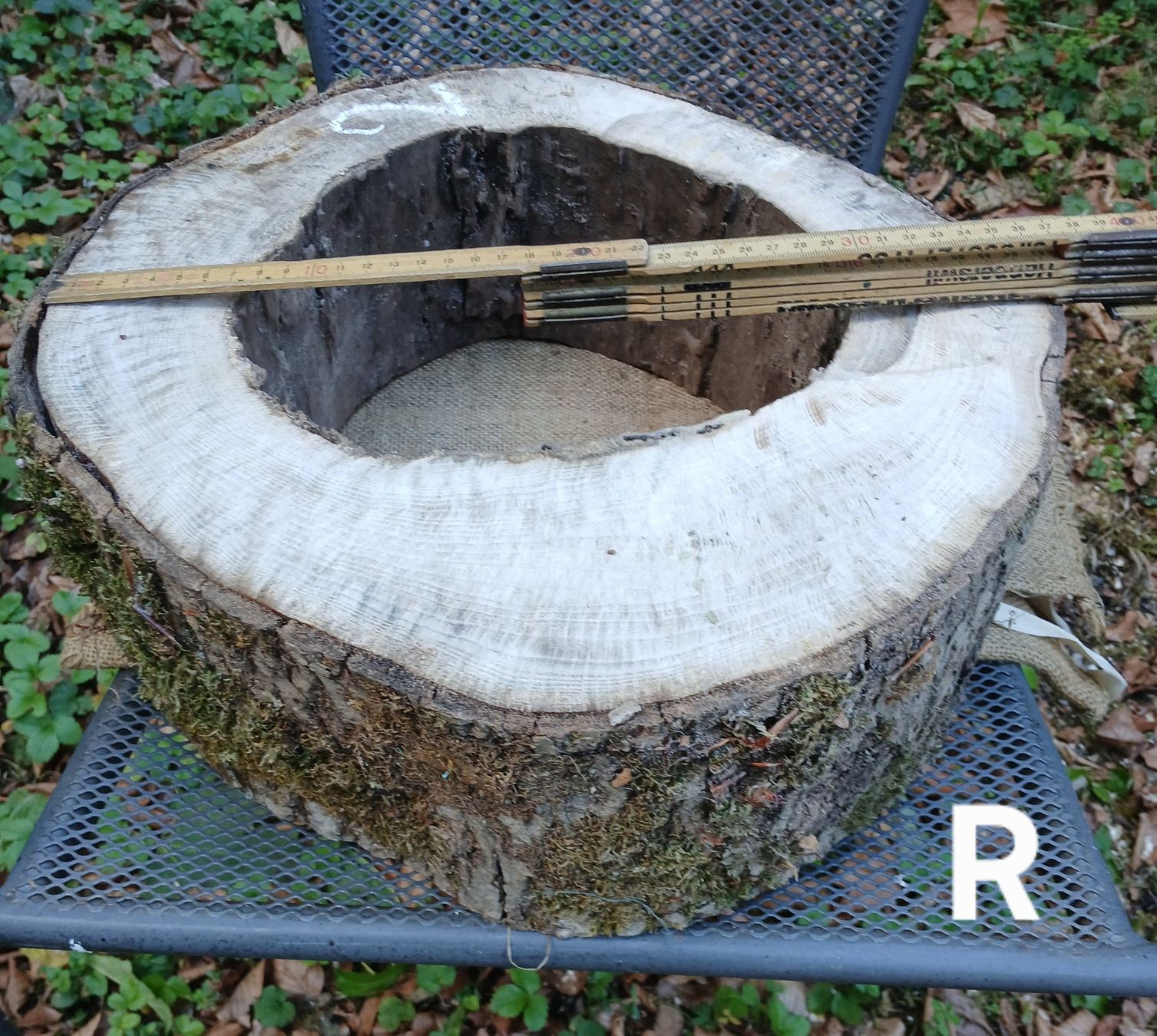 Holzartikel: Baumscheibe Natur hohl, roh >  B2 – Gebraucht aus Bilten von Archiv55 2