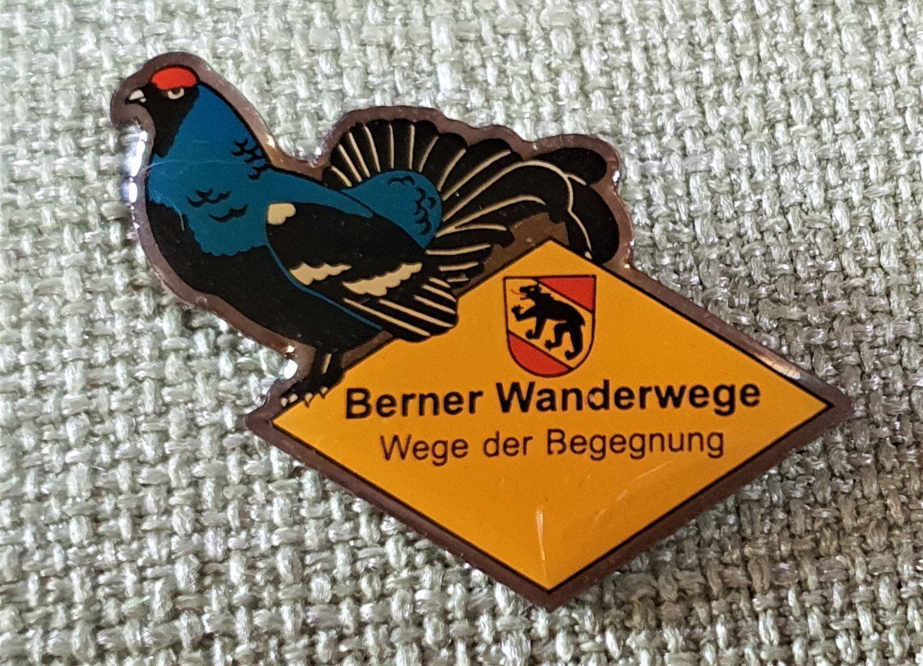 Schränke: J620 - Pin Berner Wanderwege - Begegnung – Gebraucht aus Reinach BL von Boston-Verkauf