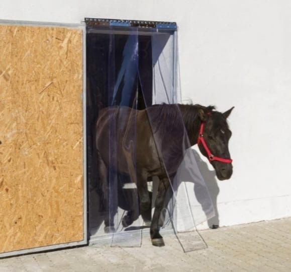 PVC-Streifenvorhang Stallvorhang, Windschutz für Pferde. 59 (Gebraucht ...