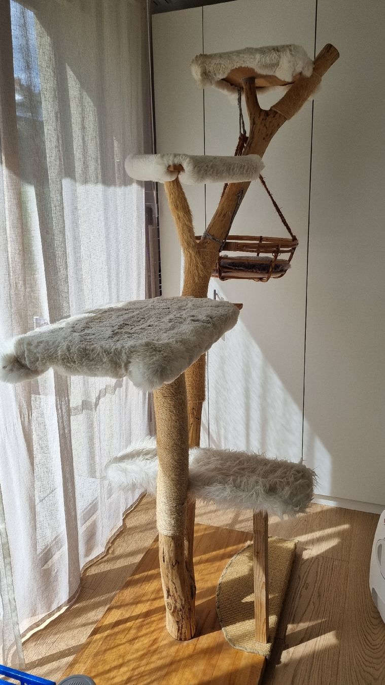 Katzenbaum - Kratzbaum: Naturkratzbaum gebraucht – Gebraucht aus Beinwil am See von rimeina 3