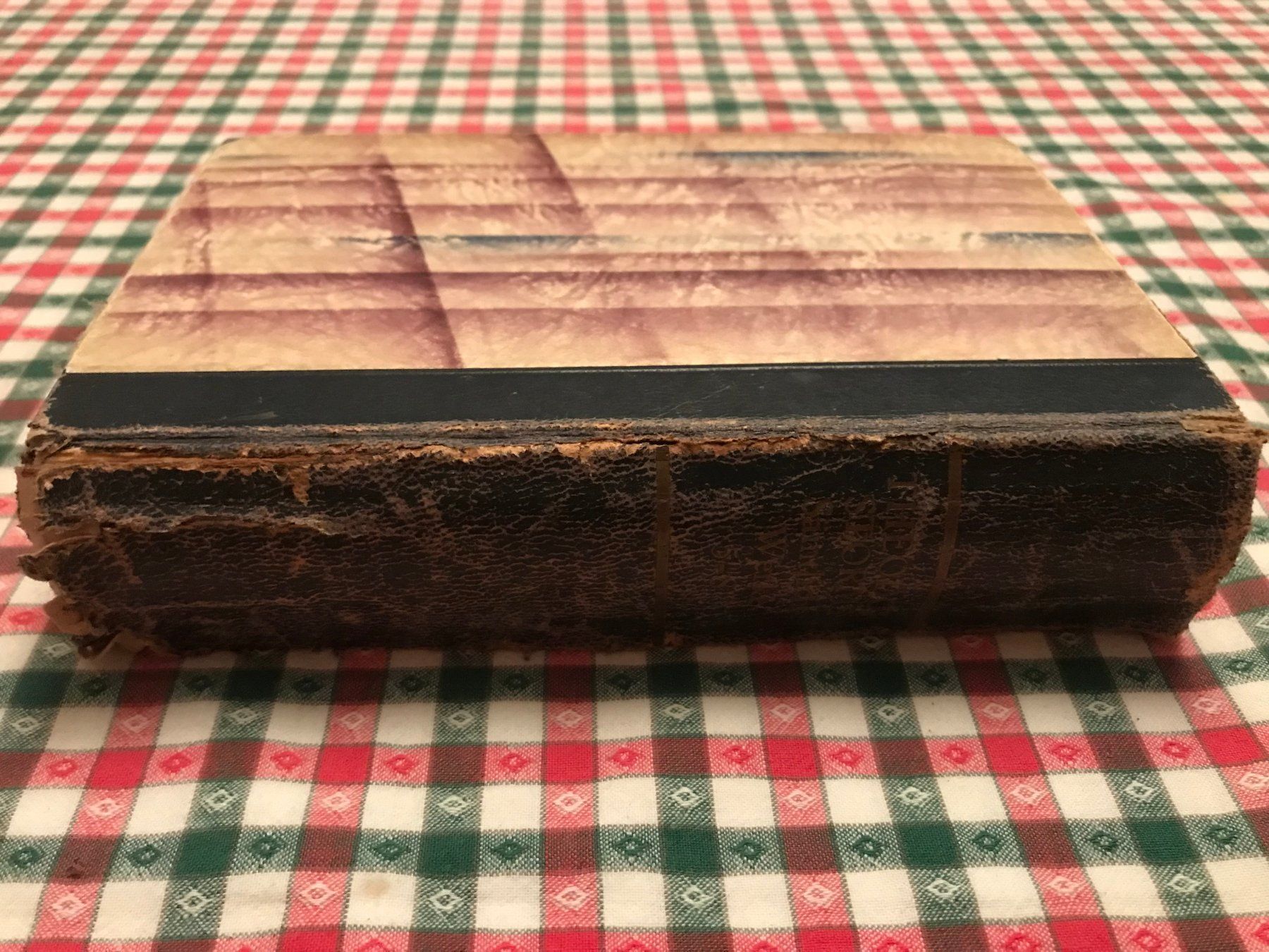 Libri: Theodor Storms sämtliche Werke 5.-8.Band – Usato da Zollikerberg venduto da Dogon 1