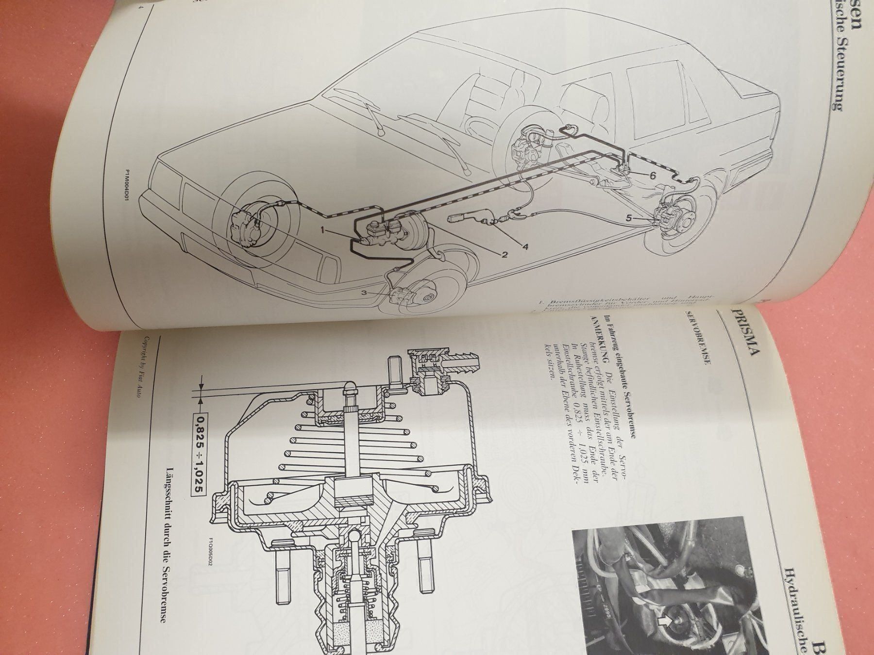 Libri: Werkstatt Handbuch – Usato da Winterthur venduto da express36 7