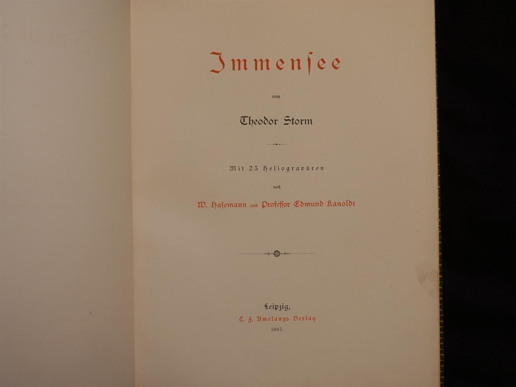 Libri: Immensee Theodor Storm 1887 – Usato da Gutenswil venduto da Optico 3