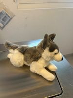 Husky Kuscheltier