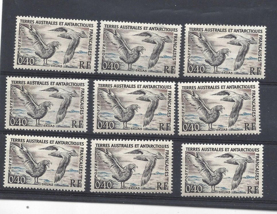 Insigne Original TAAF – Terres Australes Et Antarctiques Françaises – Marine – Vintage 1960