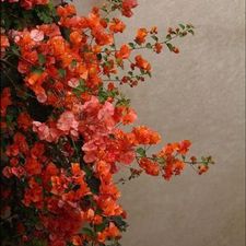 Profile image of gioia.mahe