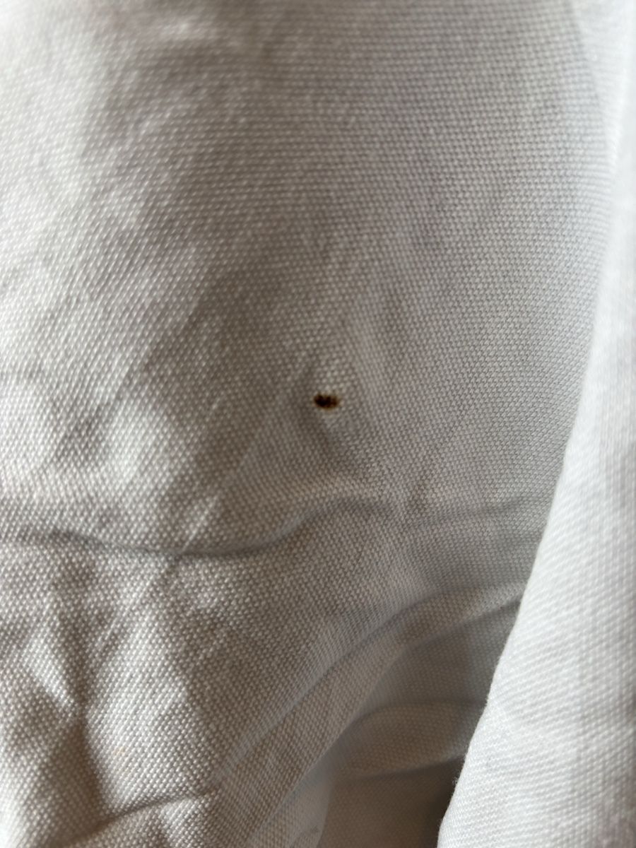 Pull&Bear T-shirt: T-shirt Pull&Bear blanc, taille M – Usato da Colombier VD venduto da jaredein 2