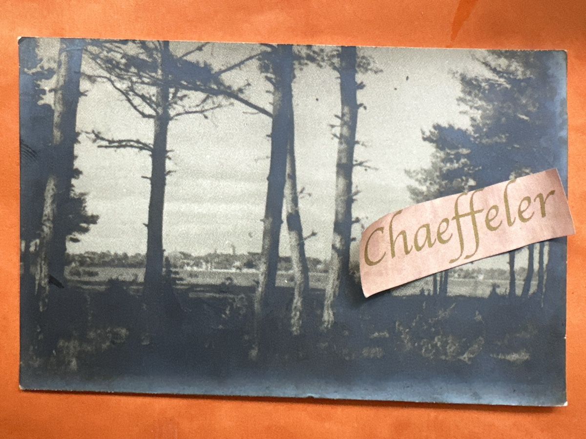 Cartes postales: Alte Ansichtskarte mit Bäumen und Stadt, EESTI 1931 – D'occasion à Zürich par Chaeffeler