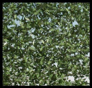 Voitures modèles: Silhouette 980-31G - Eichenlaub – Neuf avec emballage d'origine à Boswil par Blflohmi