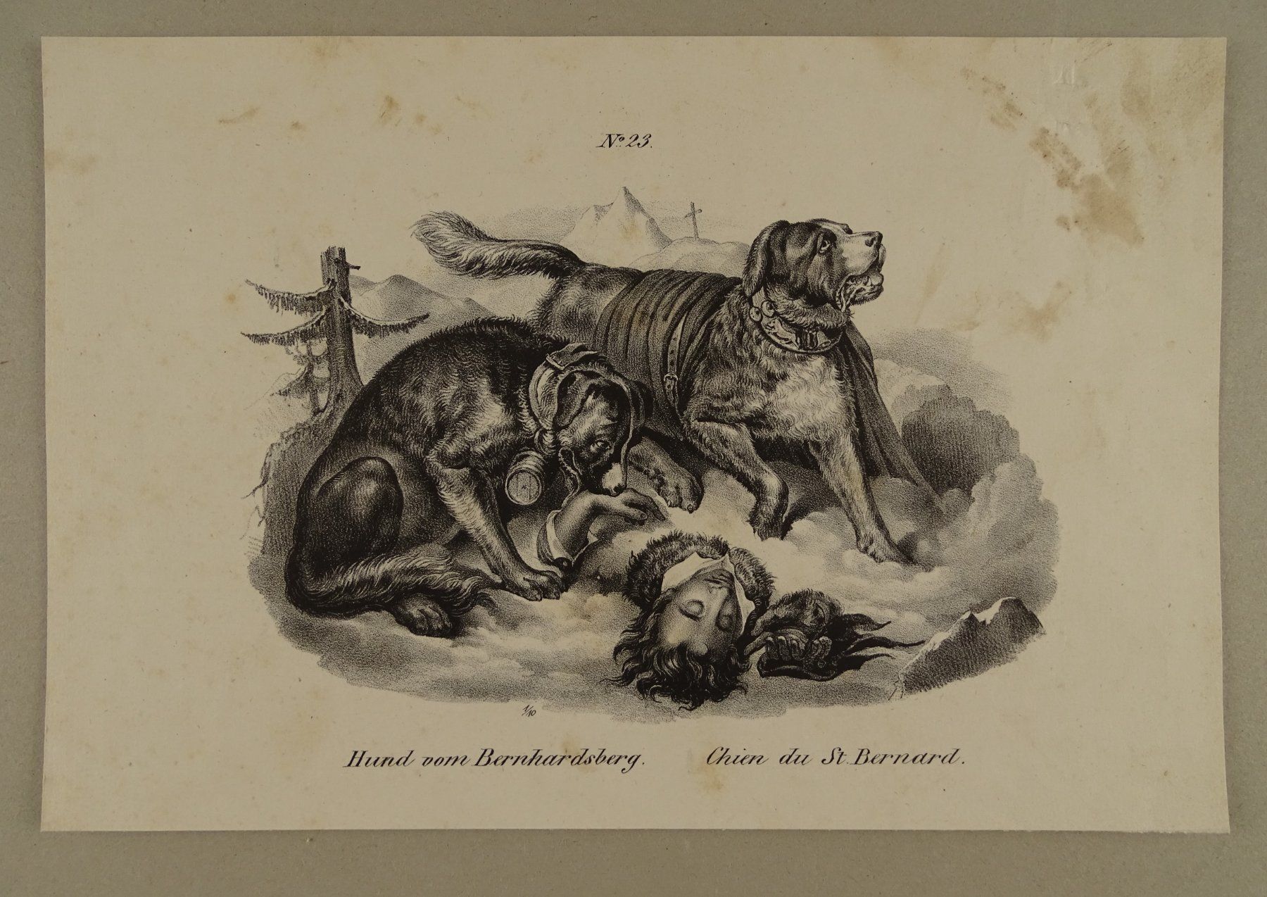 Stiche: BERNHARDINER, LITHOGRAPHIE 1840 – Gebraucht aus Grüningen von Kartensammler 1