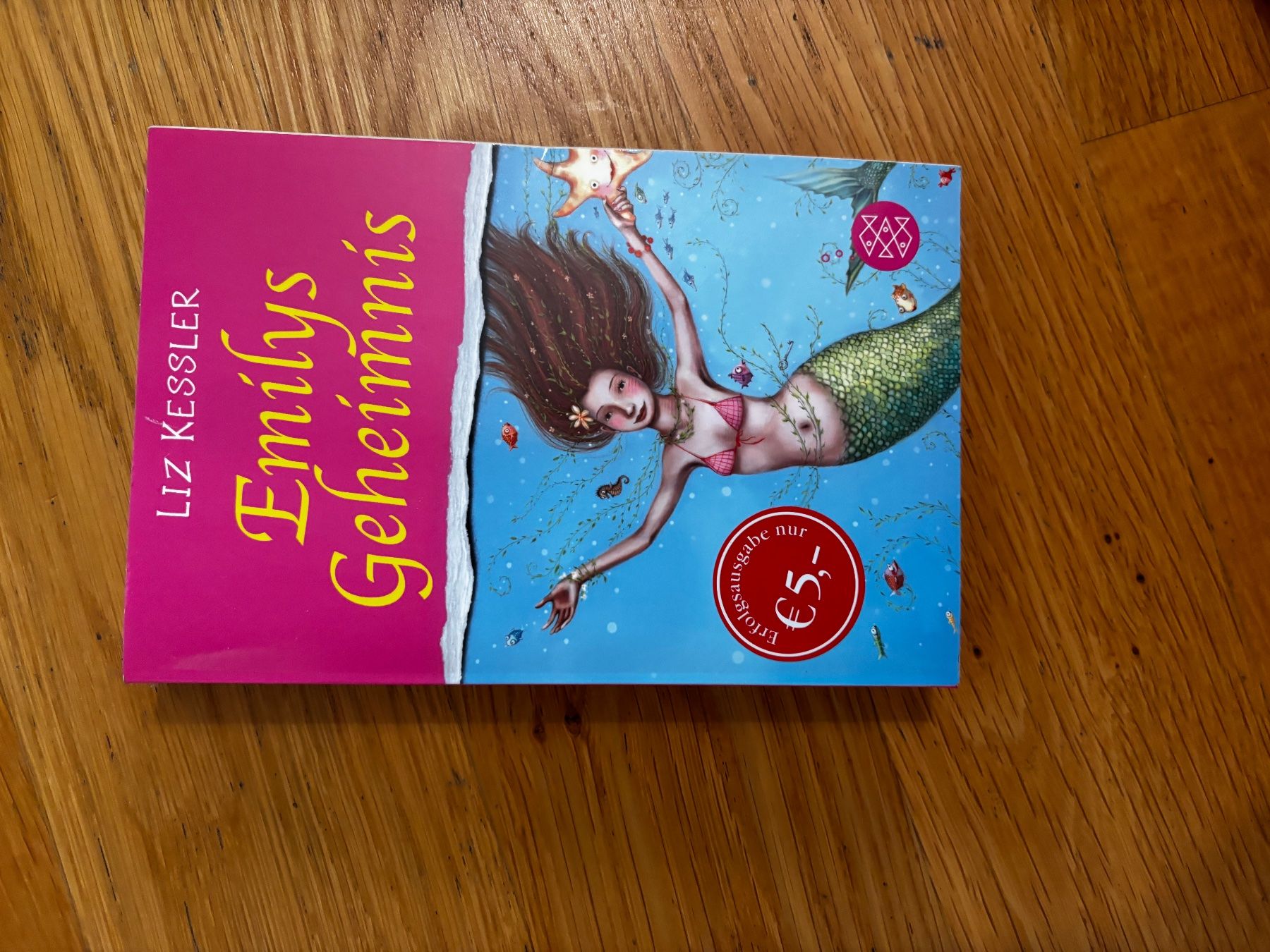 Libri: Emilys Geheimnis – Usato da Winterthur venduto da rtk_c8y6