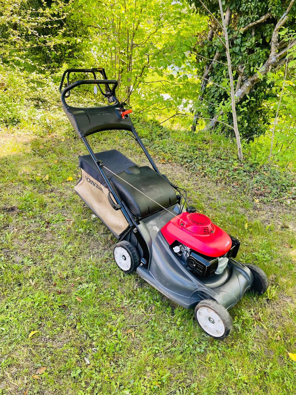 Tagliaerba: Rasenmäher Honda / Radantrieb Profi – Usato da Dietikon venduto da L.L_GmbH