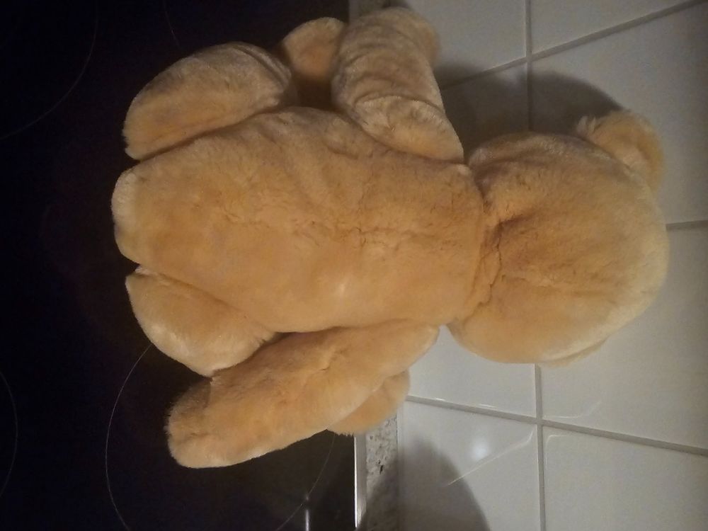 Steiff Teddybär, sehr gut erhalten, Sammlerstück, Top! 7