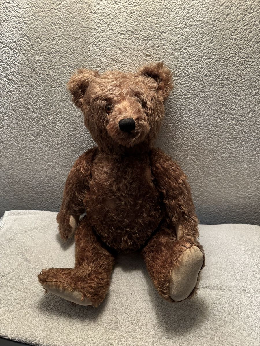 Steiff Giocattoli: Steiff Teddy – Usato da Binningen venduto da kal_5nsj
