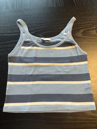 Subdued cropped top