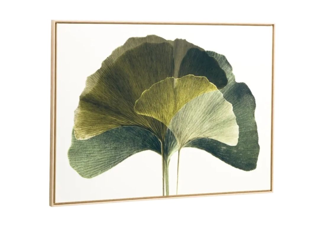 Posters & Illustrations: Gingko Bild neuwertig von Pfister – Neuf (Voir description) à Niederrohrdorf par sibi1954