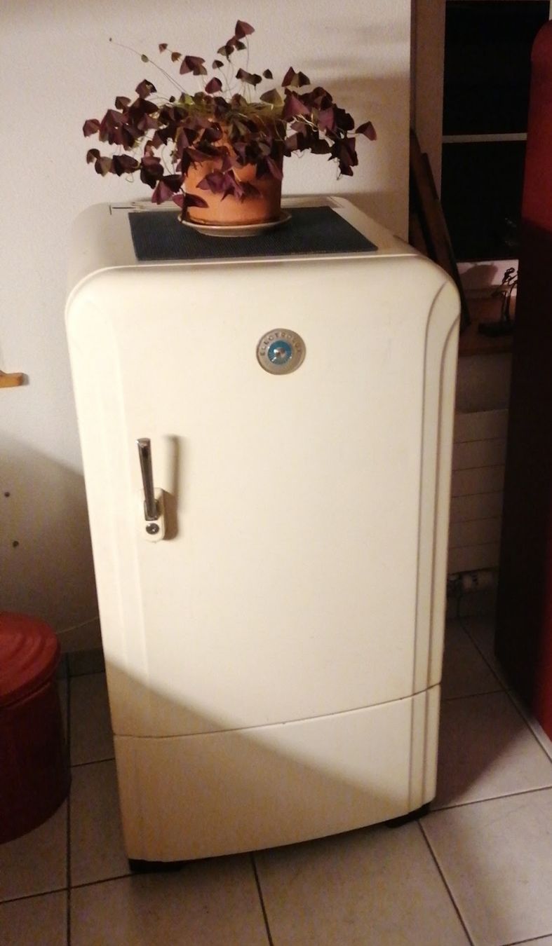 Electrolux Frigoriferi: frigo Electrolux vintage – Usato da Cortaillod venduto da Asdrubal66 5
