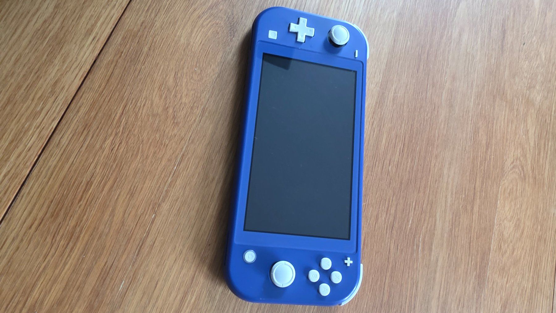 Nintendo Konsolen: Nintendo Switch light – Gebraucht aus Güttingen von Timo.Mayer37