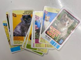 Katzen Quartett - Süsses Spiel für Sammler & Kinder!