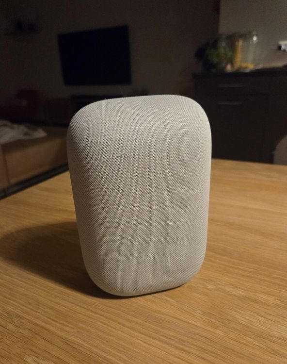 Google Nest Audio Lautsprecher hellgrau guter Zustand (Gebraucht) in ...