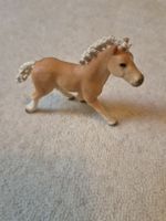 Schleich Fohlen 