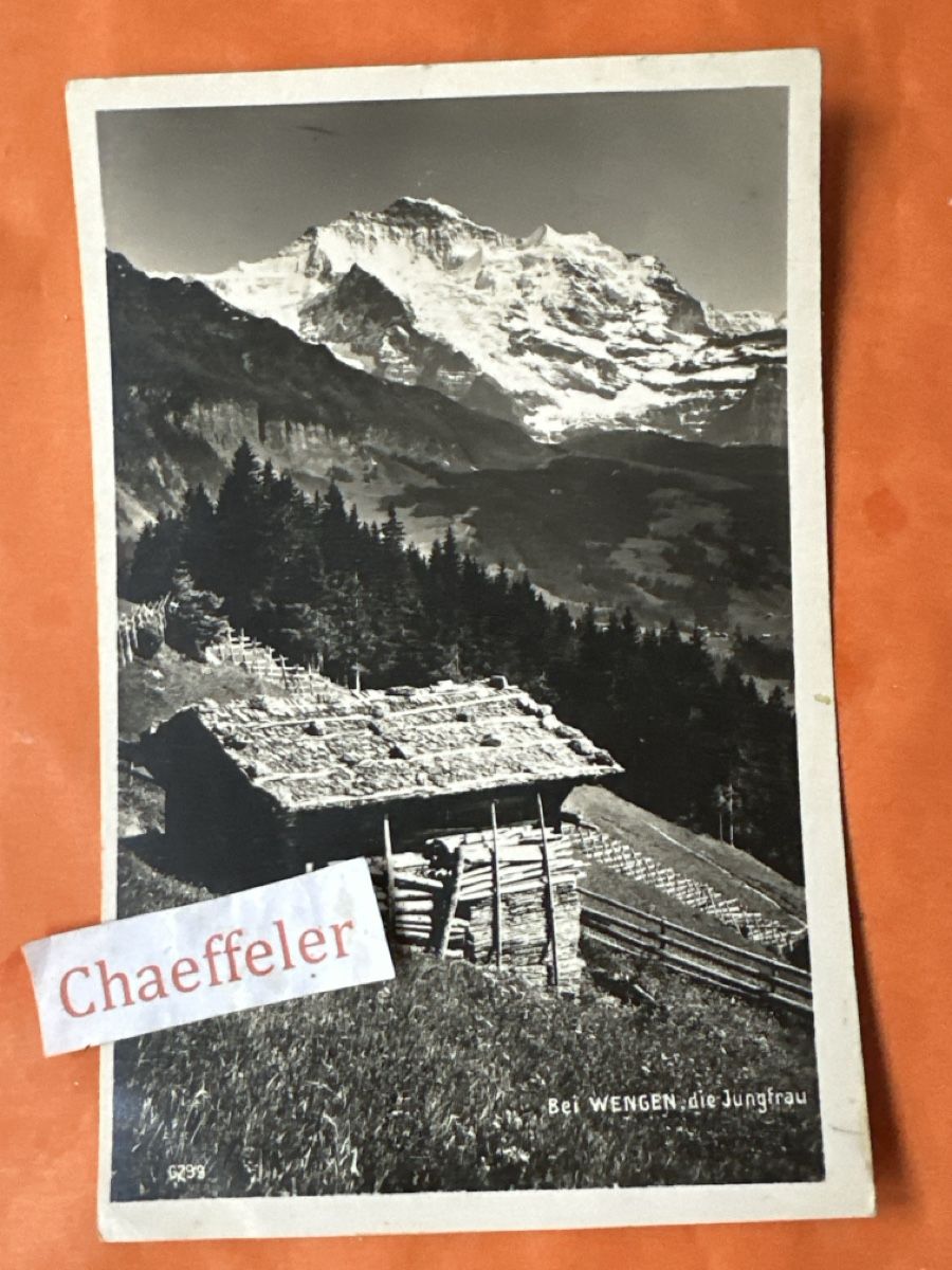 Cartoline postali: 1933  bei  Wengen, die Jungfrau – Usato da Zürich venduto da Chaeffeler