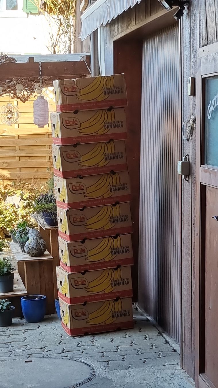 Cartoni: Bananenschachteln "Aktion" – Nuovo (secondo la descrizione) da egliswil venduto da Maggy6
