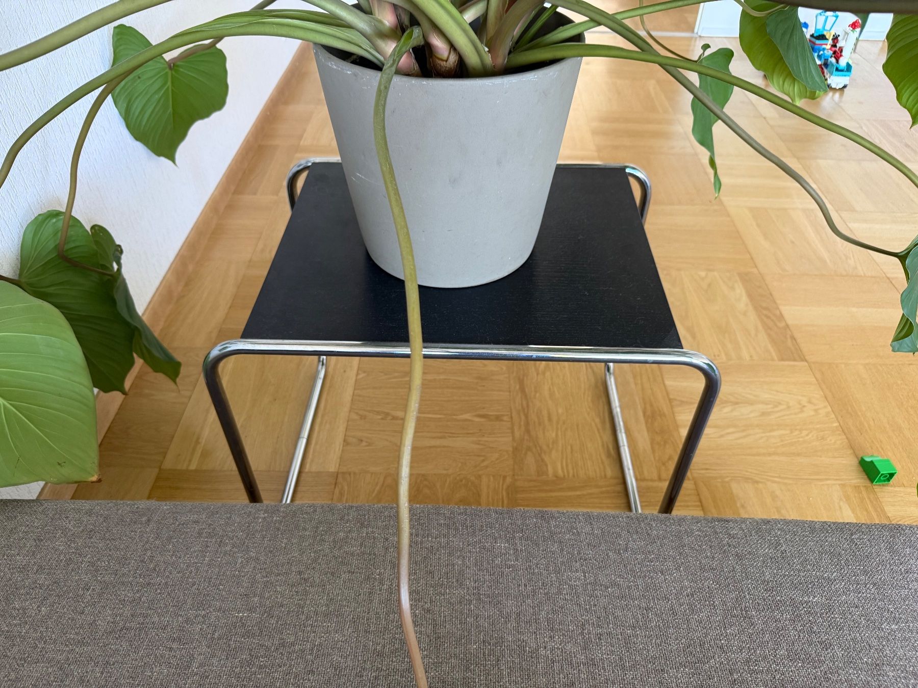 Tables: Table basse Knoll Laccio 1 noire structure acier – D'occasion à Chêne-Bougeries par Margot_Orso 1