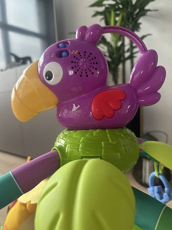 Tappeto da gioco: Fisher Price Activitymat Rainforest Erlebnisdecke Spielbogen – Usato da Zürich venduto da SebKat 2