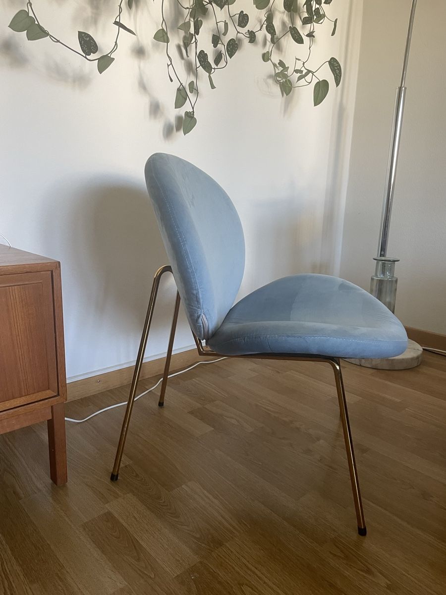 Poltrone: Velour Sessel – Usato da Zürich venduto da 0r97 1