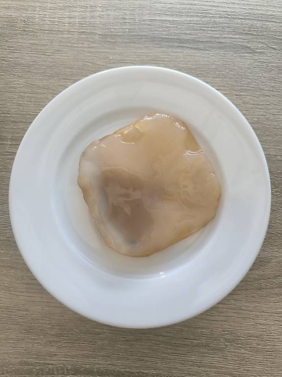 Cibi & Specialità: Demeter Bio-Kombucha SCOBY, Inkl. Flüssigkeit, Anleitung – Usato da Arlesheim venduto da jimbabh 1