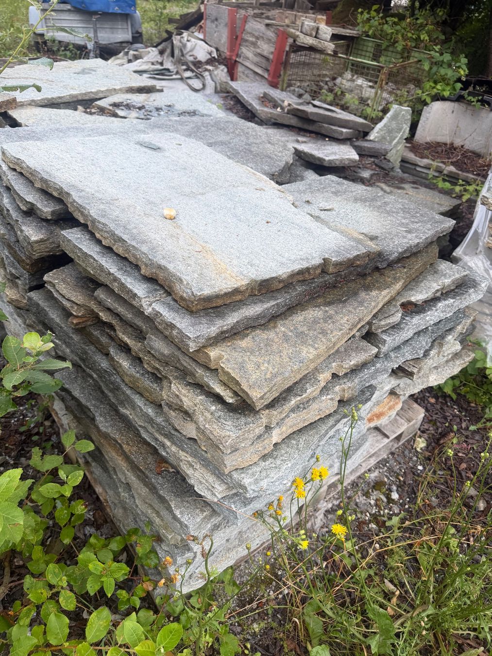 Rivestimenti per pavimenti: Luserna Polygonalplatten (formwild) 7 Paletten – Nuovo (secondo la descrizione) da Flims Dorf venduto da inf_dj8q