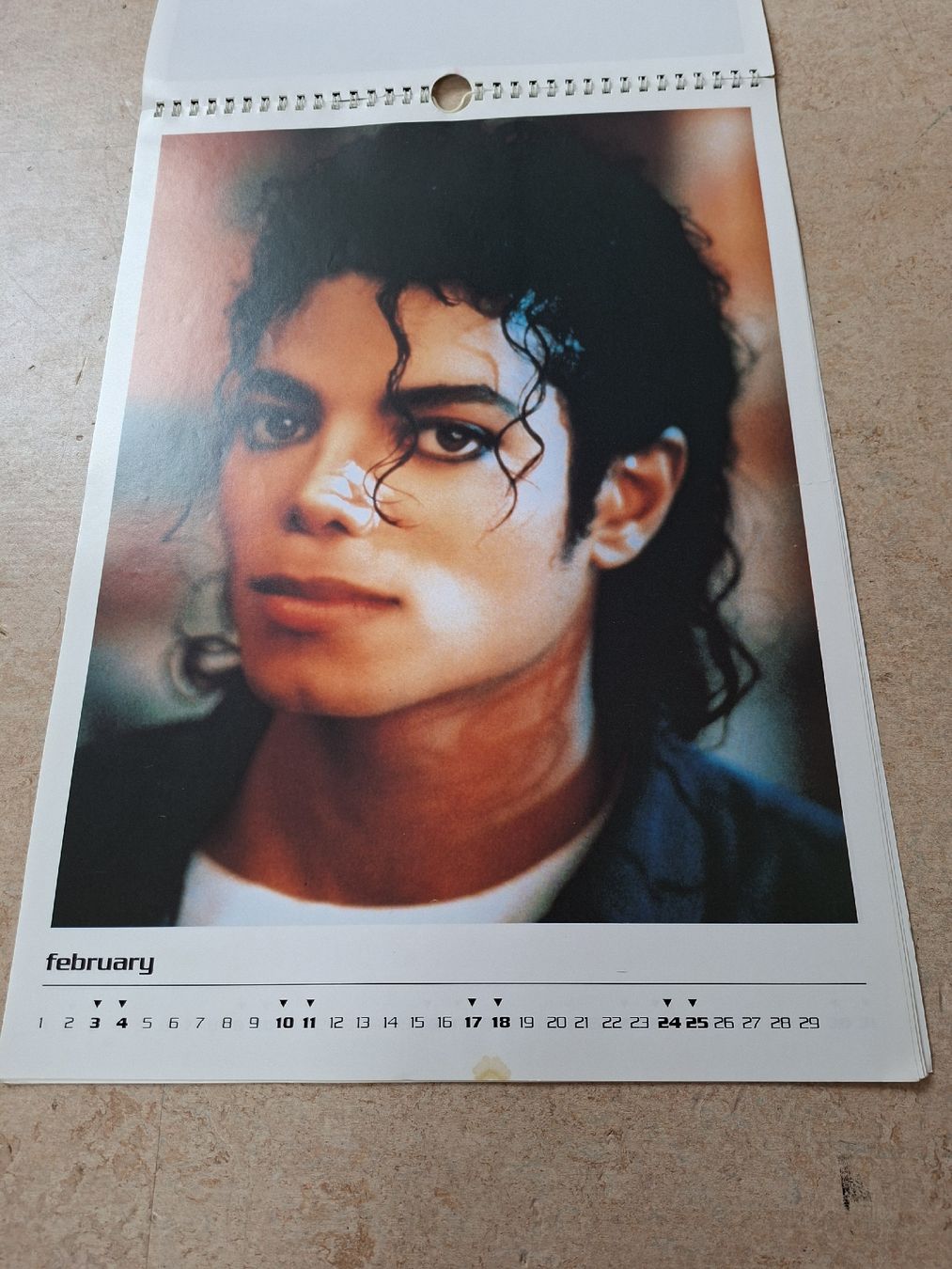 Calendari: Michael Jackson Kalender 1996  – Usato da Klingnau venduto da vollmond36 5