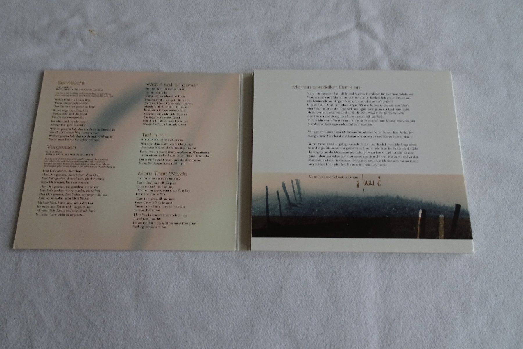 CD: CD Janine B. Mehr als Worte – Usato da Strengelbach venduto da schmetterling20 1