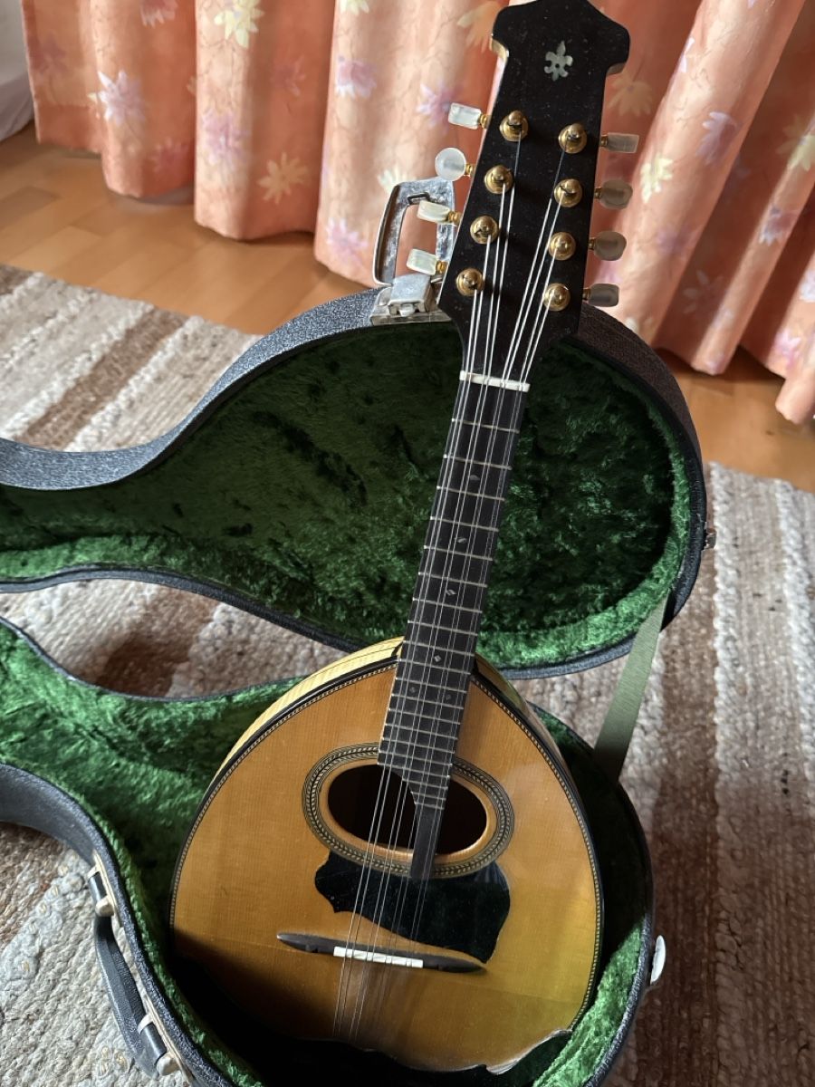 Musikinstrumente: Schöne Mandoline  – Gebraucht aus Eschenbach SG von hubidani