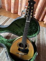 Schöne Mandoline 