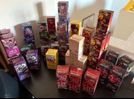 One Piece TCG Bulk Japanisch – ca. 5'000 Karten