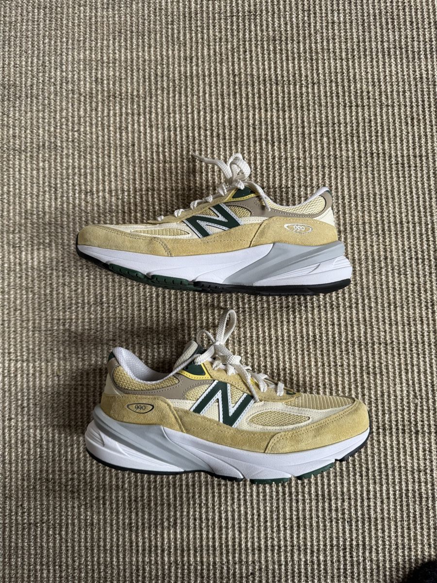 New Balance Scarpe da uomo: New Balance 990 V6 – Nuovo (secondo la descrizione) da Coppet venduto da 63psells