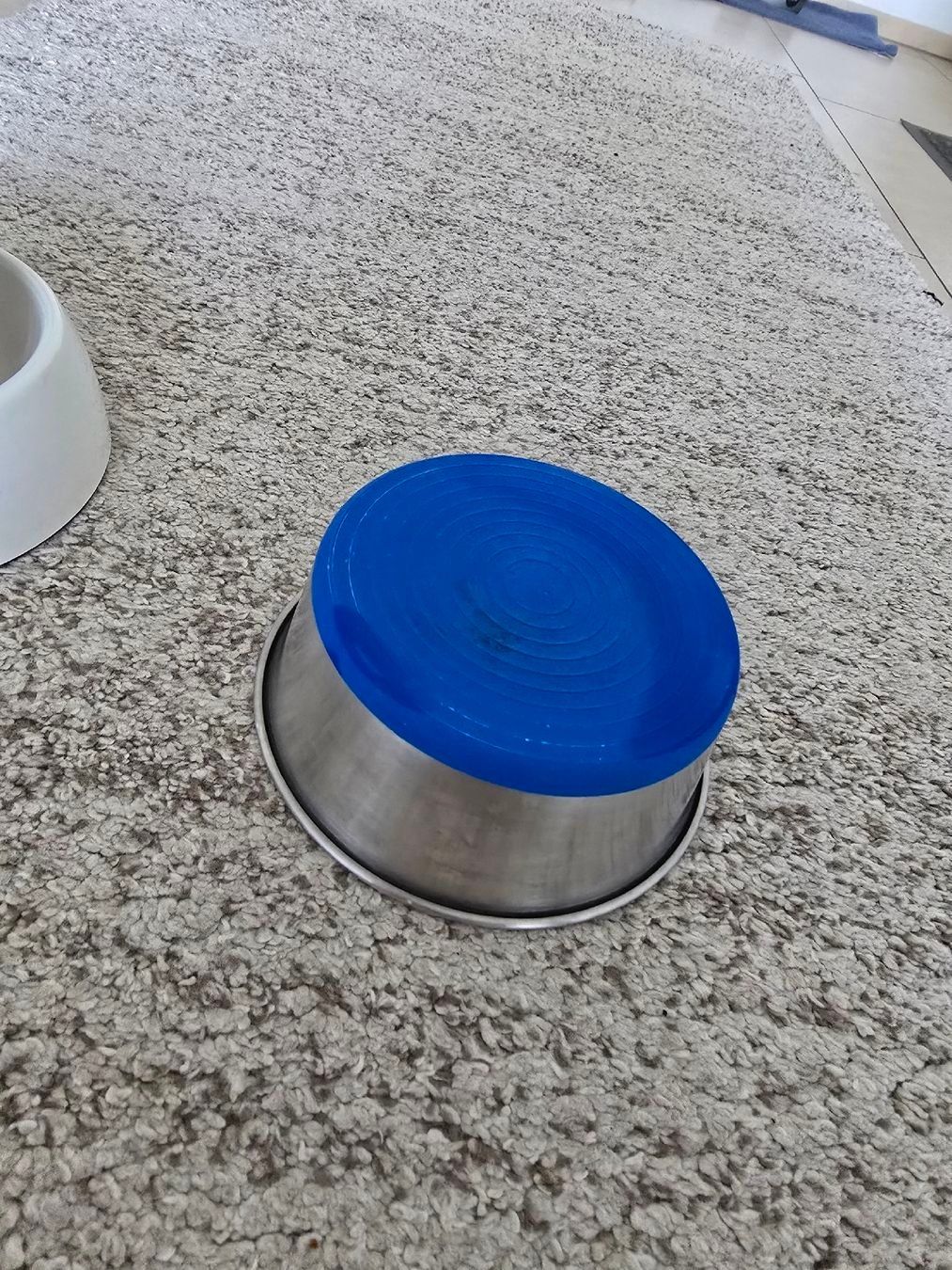Ciotole: Hundenapf – Usato da Rickenbach b. Wil venduto da Kth_v8 3