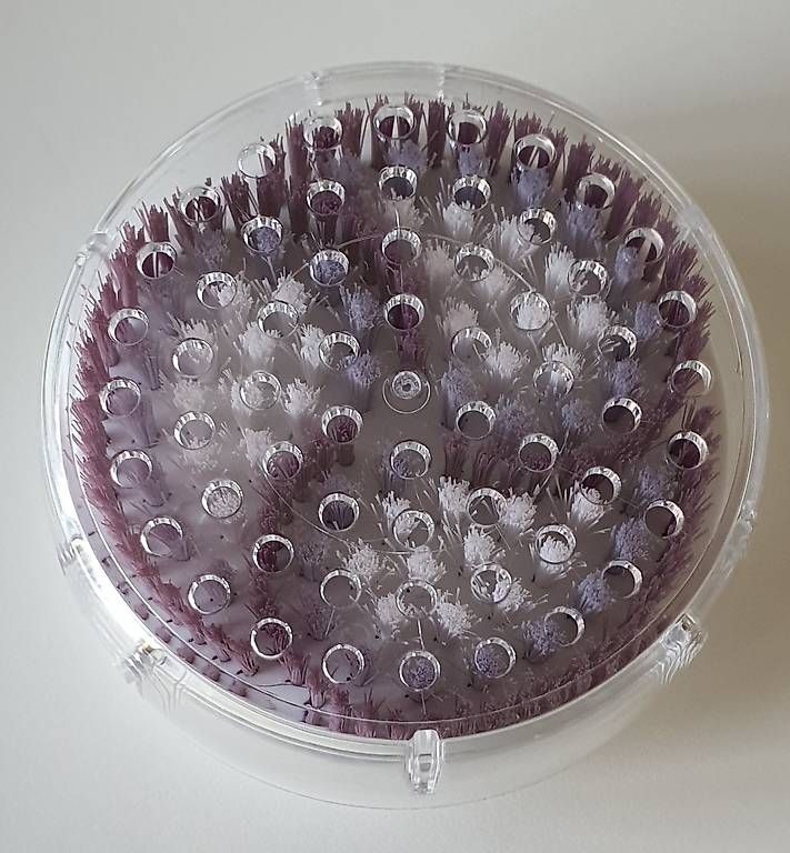 Braun Sonstiges für Haushalt & Wohnen: BRAUN Silk-épil 9 Peelingbürste mit Schutzkappe – Neu (gemäss Beschreibung) aus Riedholz von Suroman
