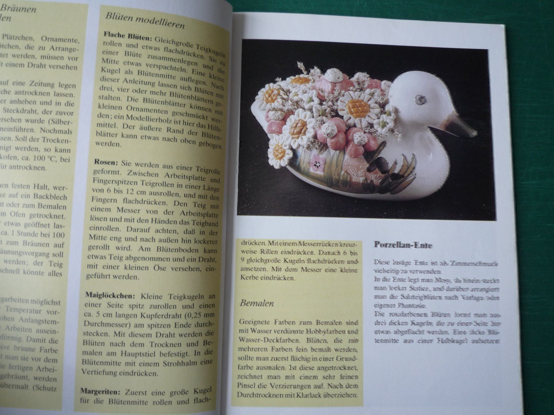 Libri: Salzteig - Floristik / Topp 889 – Usato da Rafz venduto da Sonnenblume305 2