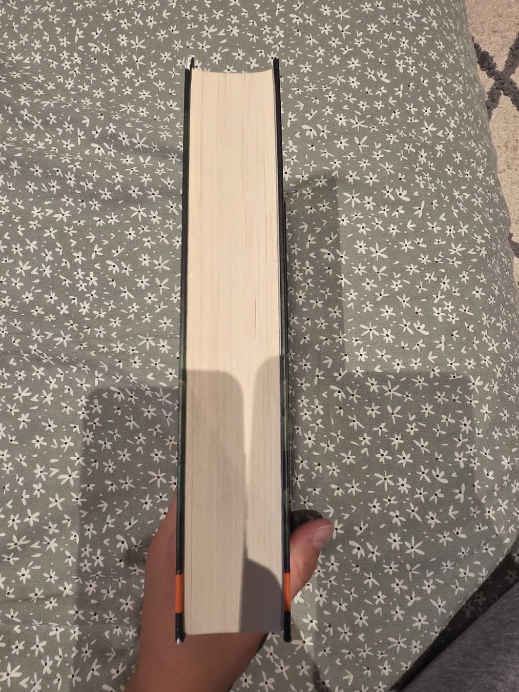 Bücher: Warrior Cats Tigerherz Schatten Buch gebraucht – Gebraucht aus Näfels von TschudiD 3