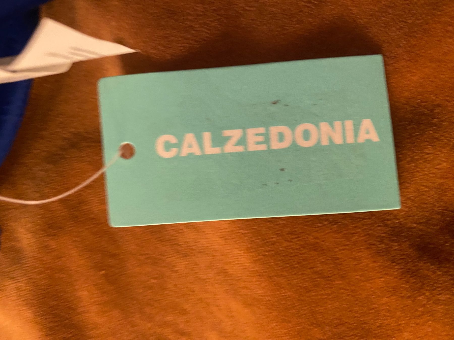 Calzedonia Costumi da bagno & Bikini: Neuer, blauer Bikini mit Details - Grösse 40 – Nuovo (secondo la descrizione) da Killwangen venduto da BeautysAndEmmas 6