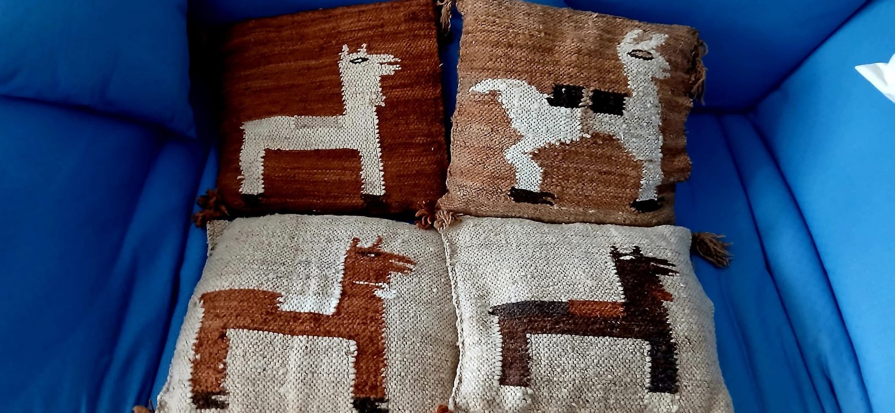 Coussins: coussin – D'occasion à Cornaux NE par sam_dy77