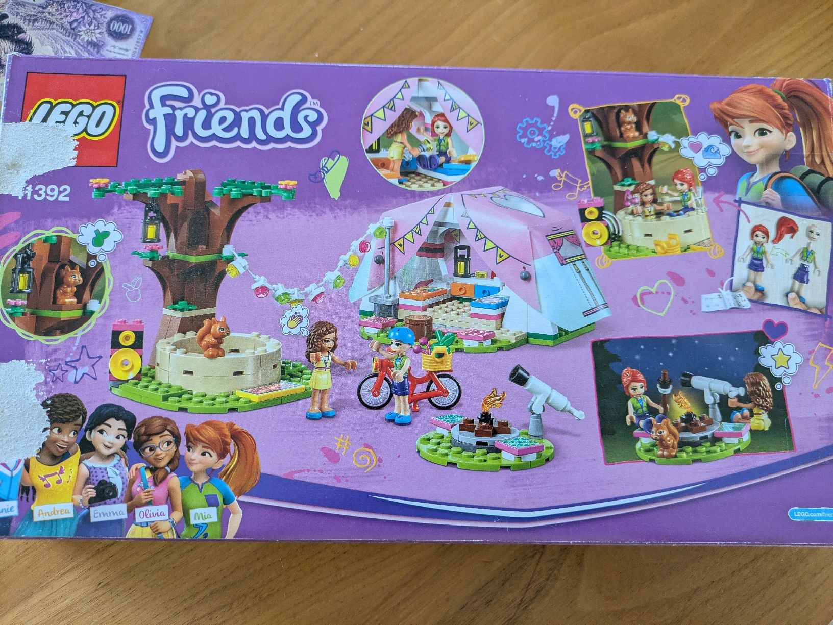 Lego Giocattoli: Lego Friends camping – Usato da Pully venduto da FlorWoll 1
