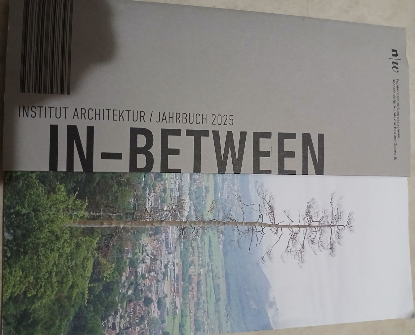 Libri: Institut ARCHITEKTUR Jahrbuch 2025 IN-BETWEEN – Usato da Basel venduto da schoggignocchi