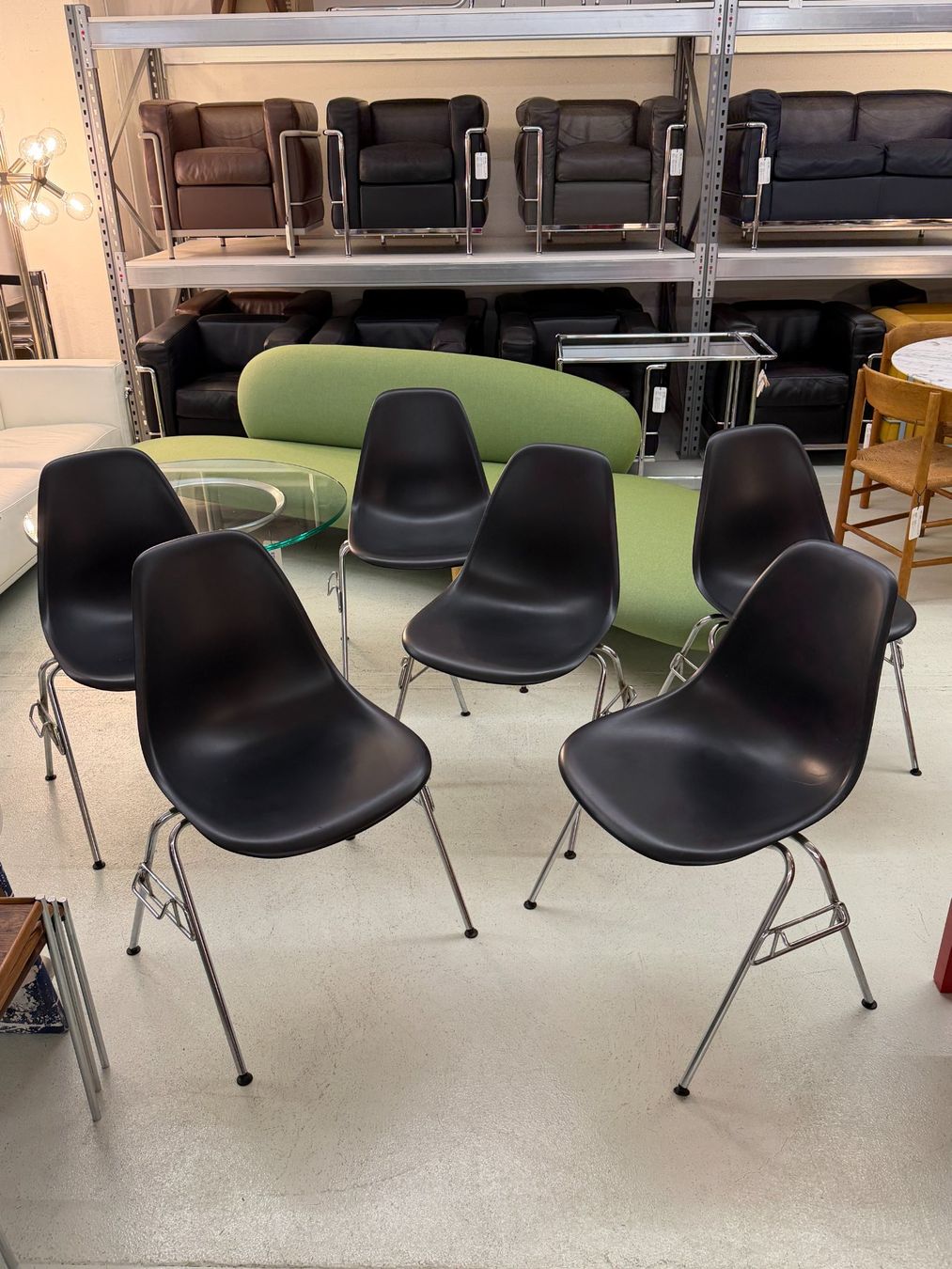 Vitra Sedie: Vitra Eames DSS 6er Set ab 1.- Schwarz – Usato da Zürich venduto da Simsala-bim 1