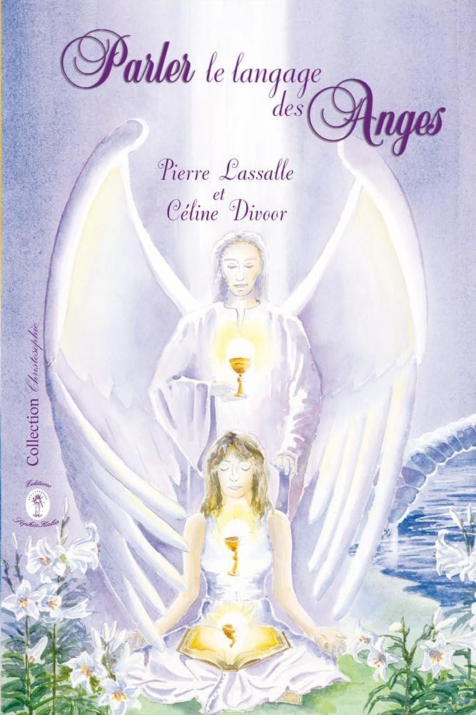 Libri: Parler le langage des anges – Usato da Neuchâtel venduto da Dualseele