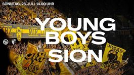 YB - Sion, Sonntag 14h, Stehplatz in der Fanzone (D Parkett)