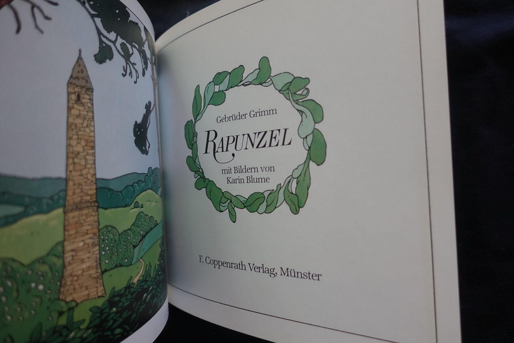 Libri: Gebrüder Grimm: Rapunzel. Ill. Karin Blume – Usato da Gutenswil venduto da Optico 3